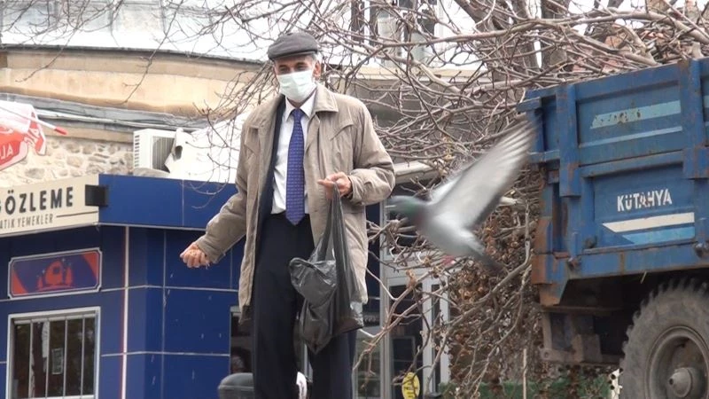 Emekli vatandaş, her gün yüzlerce güvercine yem veriyor
