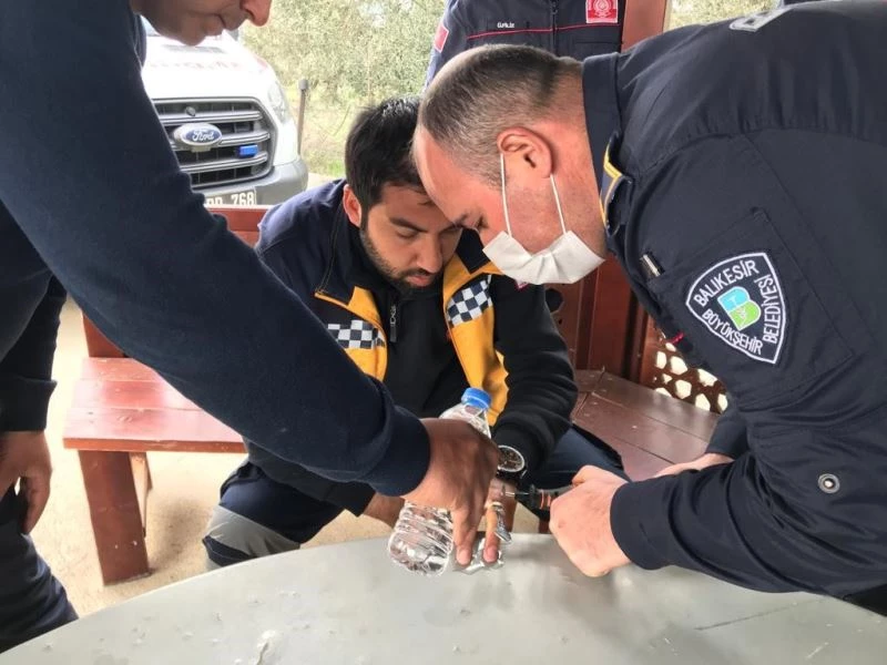 Sağlıkçının parmağını arı soktu