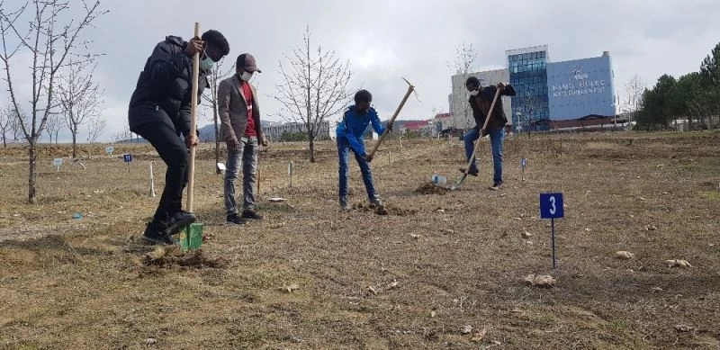 Bu bahçelerde ekimi öğrencisinden rektörüne herkes yapıyor
