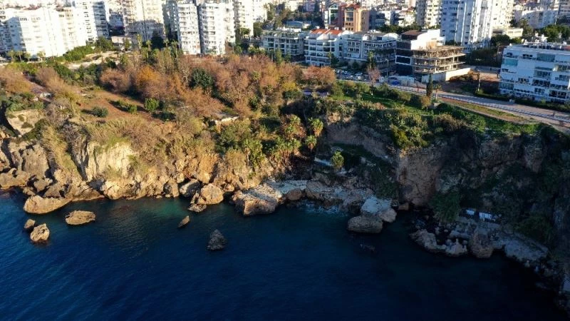 Başkana meclisten Bambus ve Narenciye desteği
