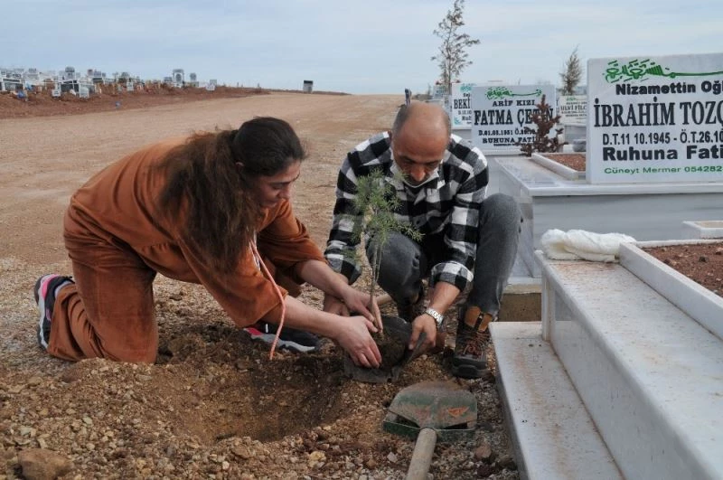 Gönüllüler mezarlığı ağaçlandırıyor
