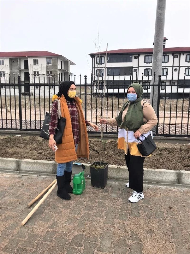 Okul bahçesi ağaçlandırıldı
