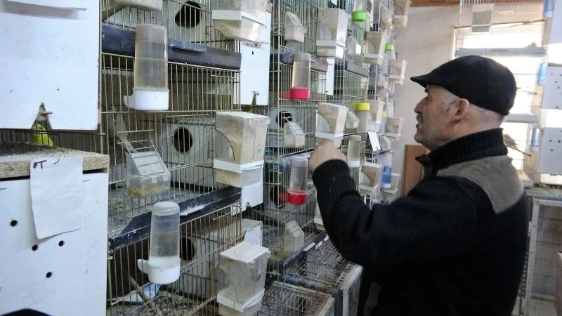 Bir çiftle başladı, evi sürüyle doldu
