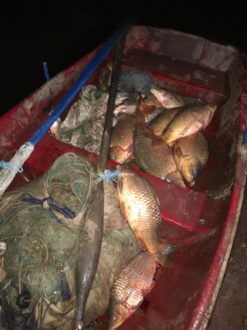 Kaçak balık avlayan şahısları yakalayıp jandarmaya teslim ettiler
