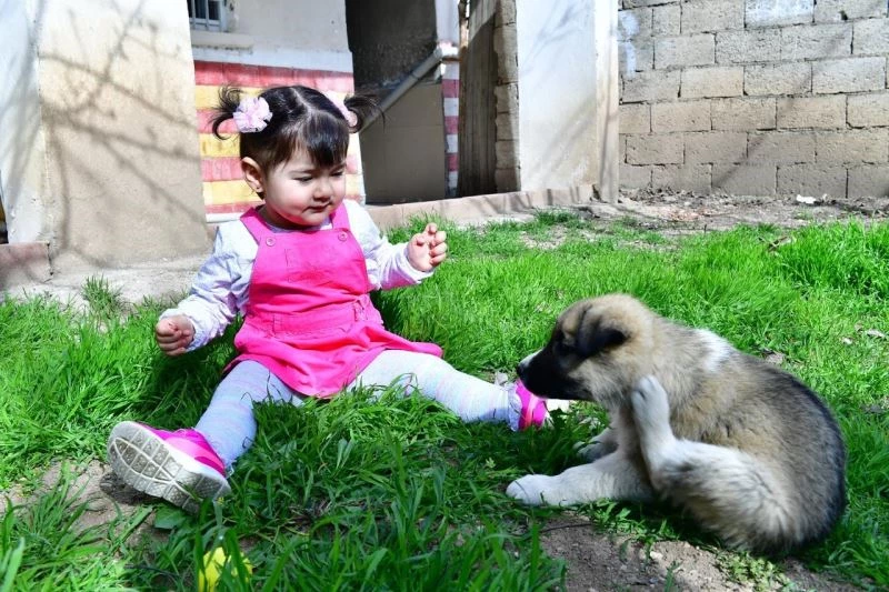 Minik Nisa’ya köpek hediyesi
