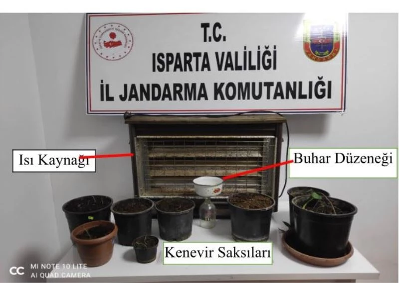 Evinde yapay ısı, ışık düzeneğiyle kenevir yetiştirdi, jandarma yakaladı
