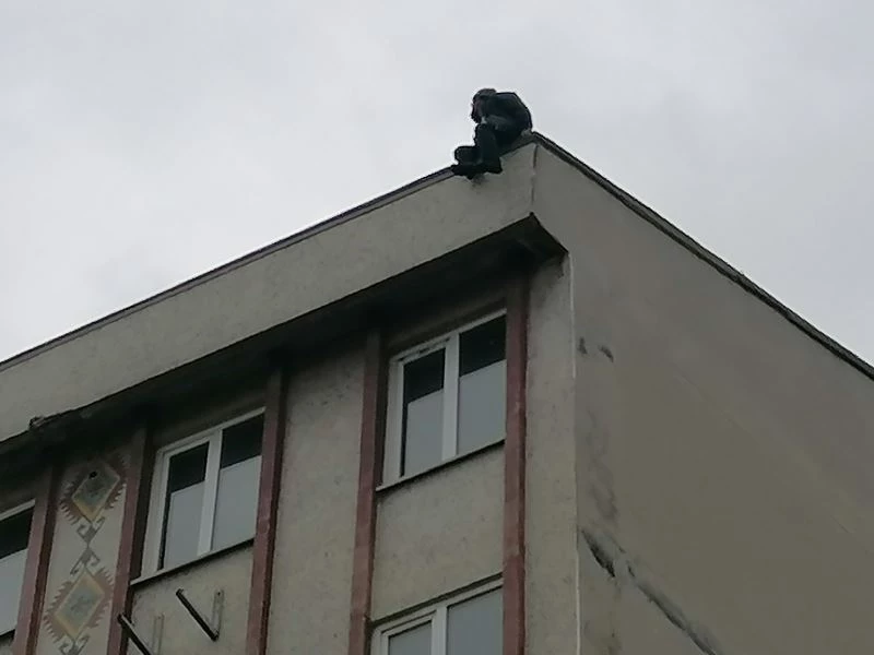 Yoldan geçen vatandaşın teklifi intihardan vazgeçirdi
