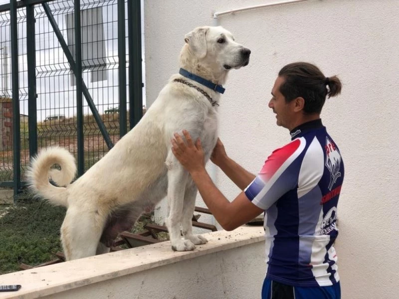 Şampiyon Akbaşlar yetiştiriyor
