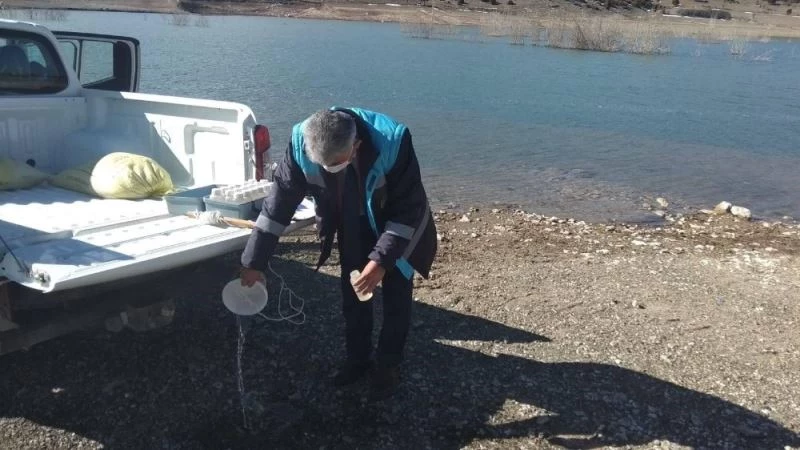 Kureyşler barajında nitrak kirlilik ölçümü
