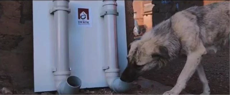 Mardin’de ’Can dostlarımızı yalnız ve aç bırakmıyoruz’ konulu kamu spotu çekildi
