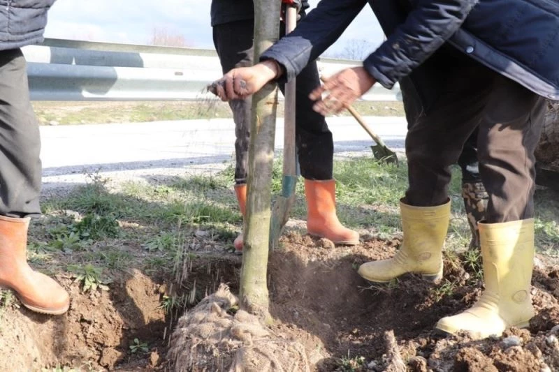 Çamköy kavşağına yeni görünüm
