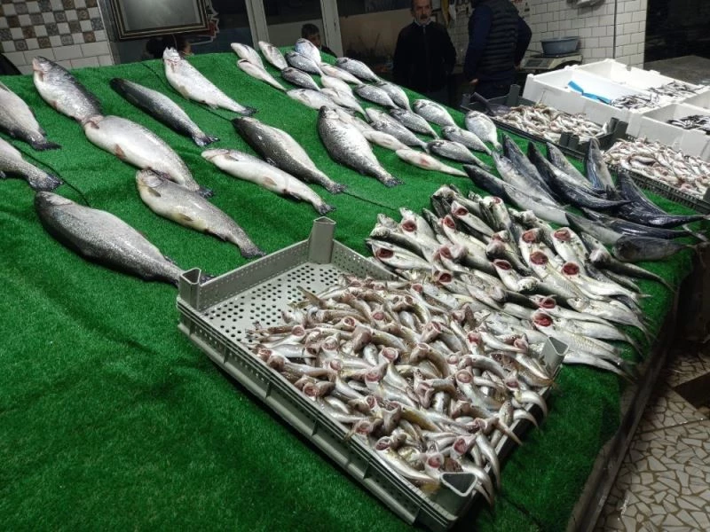 Balıkçıların yüzlerini çinekop ve istavrit güldürdü
