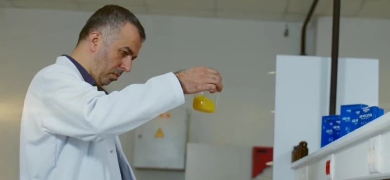 Propolisin etkinliği zeytin yaprağı ve bor ile arttırılıyor
