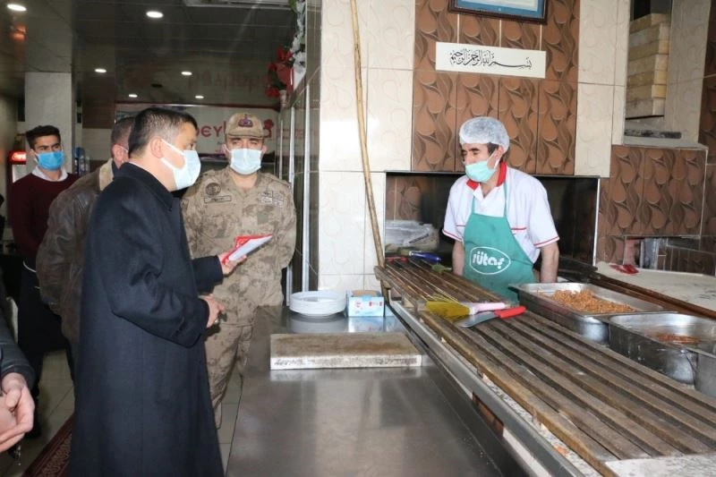 Erciş Kaymakamı Mehmetbeyoğlu, dinamik denetimlere katıldı
