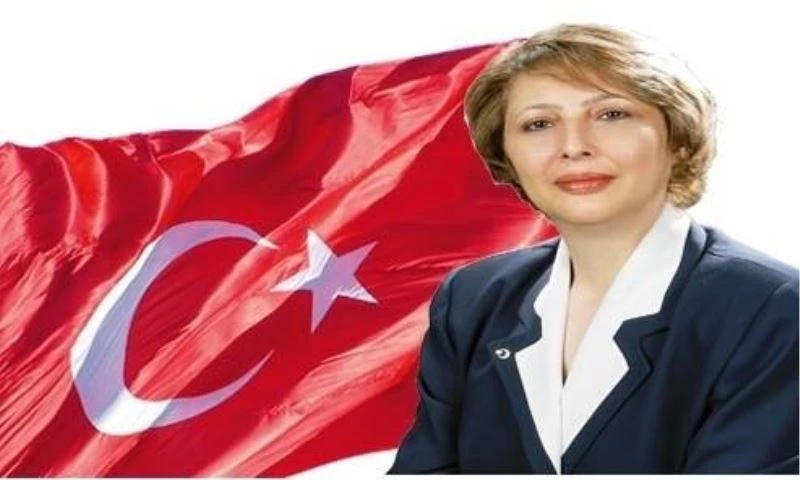 Alcan; “Salgın hastalıklar, şiddet, stres, çatışma, işsizlik, ayrımcılık, kaos ortamı Mobbingi tetikliyor”
