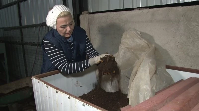 Cezaevinden çıkan kadının hayatı 18 bin TL’lik hibeyle değişti
