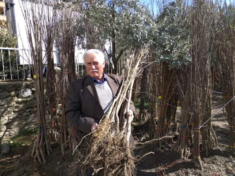 Baharın gelmesiyle fidanlar toprakla buluşmaya başladı
