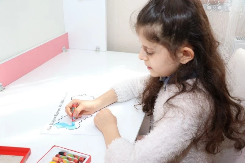 Vali amcalarının çağrısına destek oldular, haritanın rengini değiştirdiler
