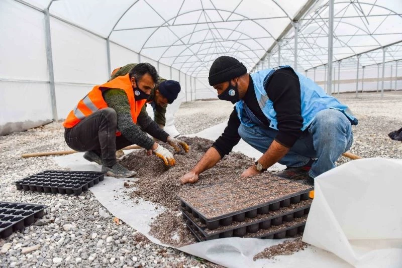 Sınırın sıfır noktası yemyeşil olacak
