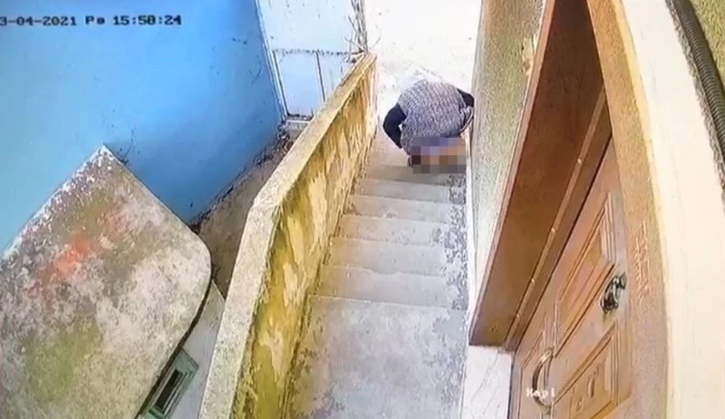 (Özel) Kedi köpek zannetti, insan çıktı
