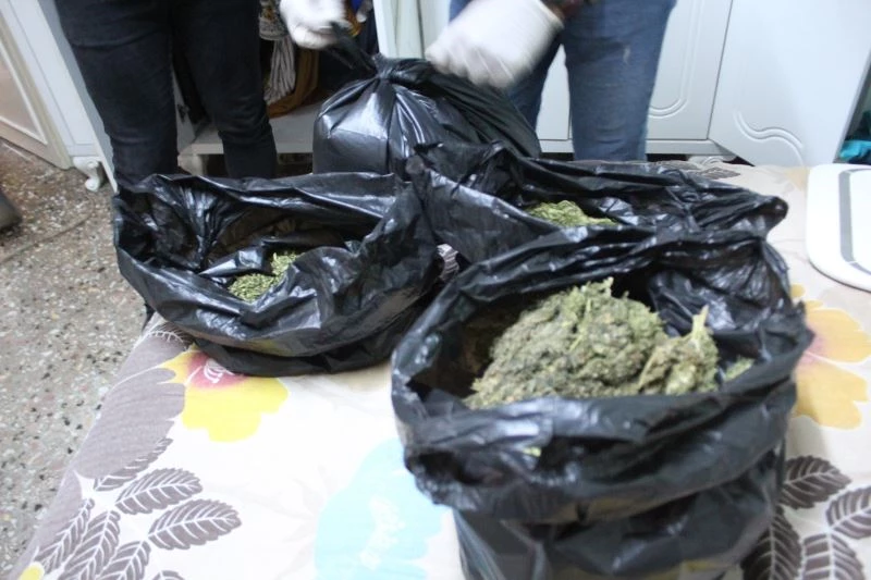 Dedektör köpeğin yoğun tepkisi zulayı ortaya çıkardı
