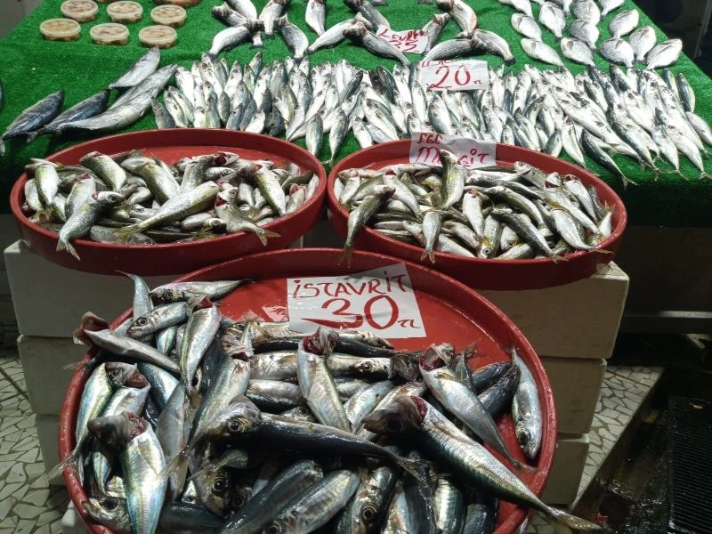 Balıkçılar hamsiden umduğunu bulamadı
