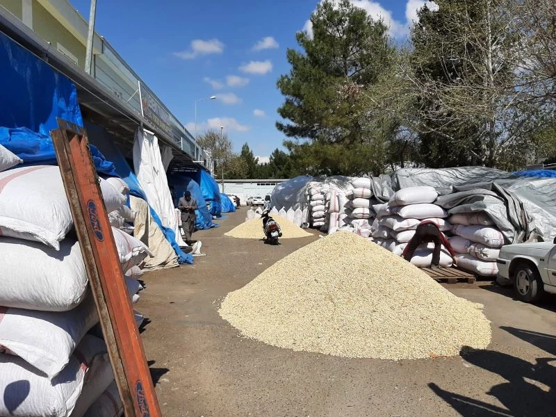 Antep fıstığında fiyatlar düşüyor
