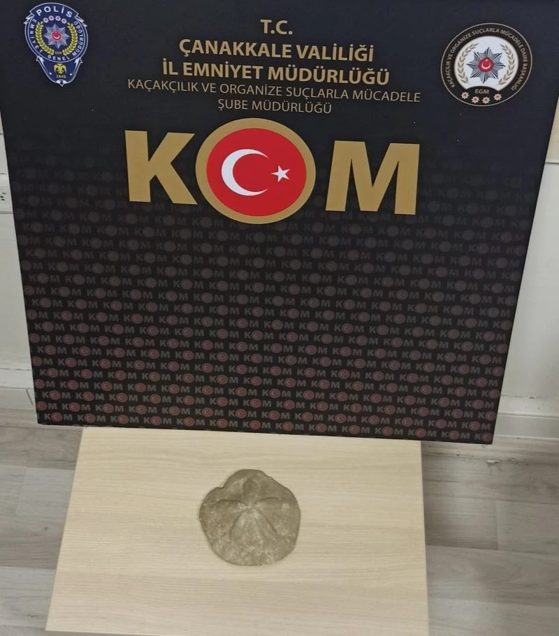 Çanakkale’de deniz yıldızı fosili ele geçirildi
