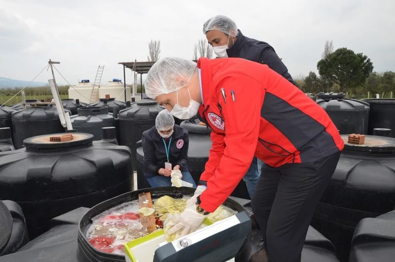 Çıplak ayakla turşu kazanına girdi işletme mühürlendi
