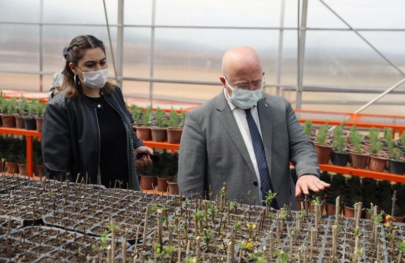 Menteşe Belediyesi bitkilerini kendi serasında üretiyor
