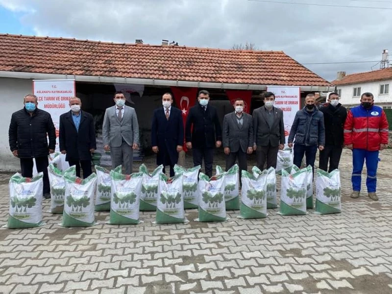 Aslanapa’da üreticilere yonca tohumu dağıtıldı
