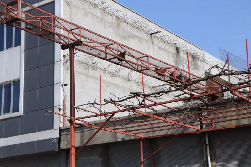 Tavukları için üst geçit yaptı
