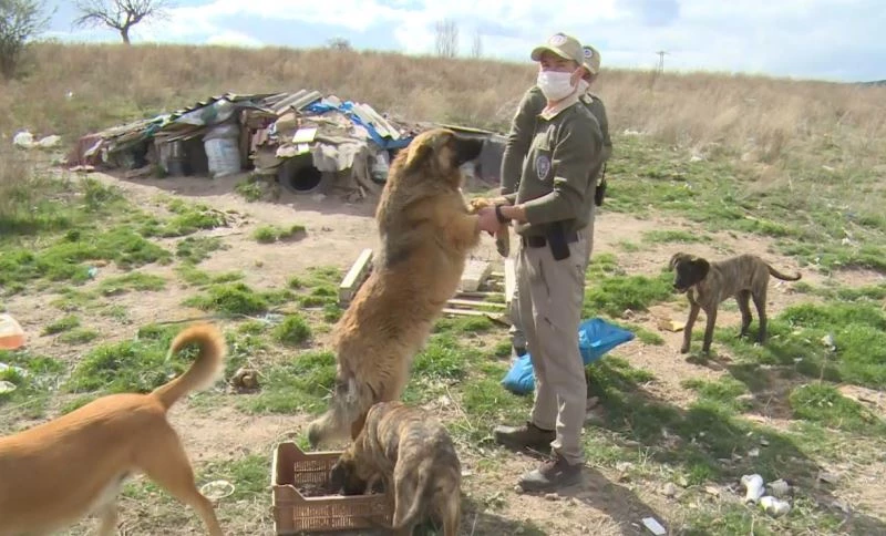 Sessizlerin sesi oldular
