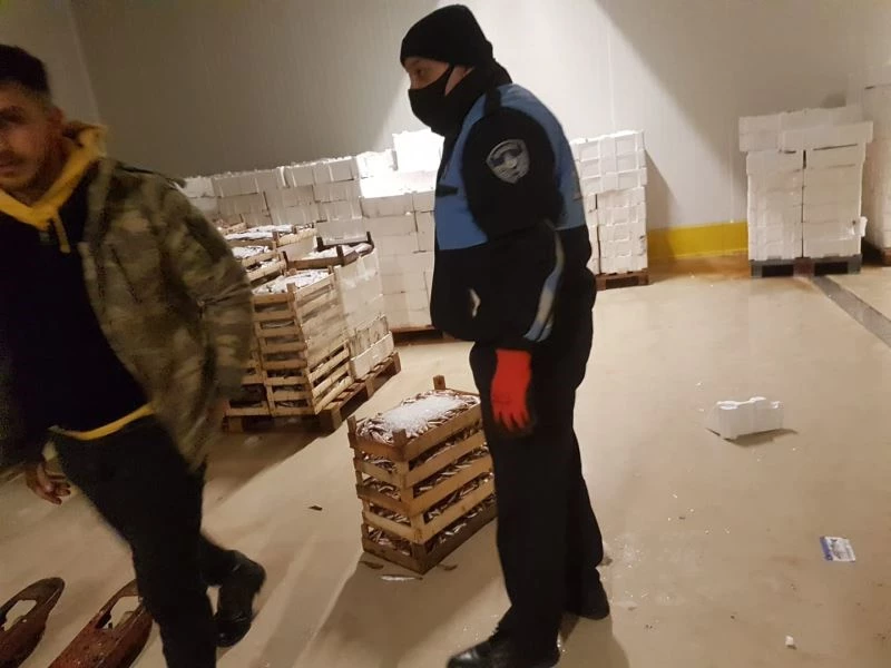 Balık halinde 8 adet camgöz köpekbalığına el konuldu
