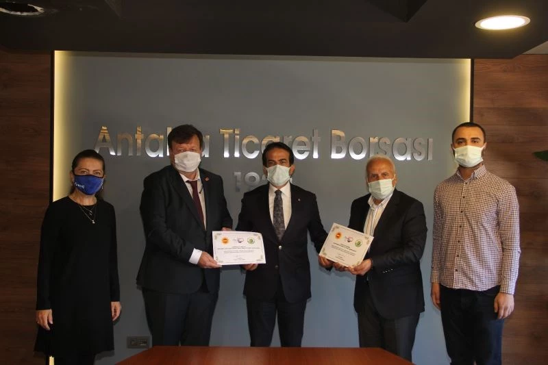 Tavşan Yüreği Zeytinini coğrafi işaret logosuyla satacaklar
