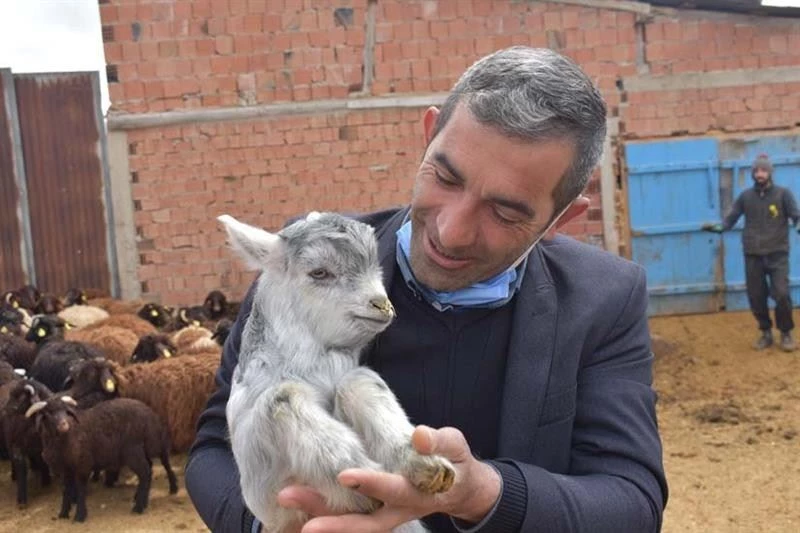 Bayburt’ta sürü yönetimi elemanı (çobanlık) kursu
