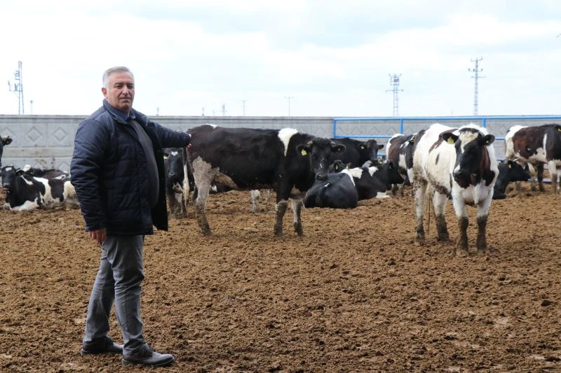 Yem fiyatlarına gelen zamlar üreticileri zora sokuyor

