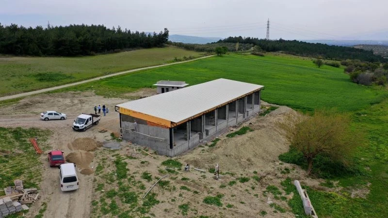 Zeytin üreticisi ve alıcısına büyük kolaylık
