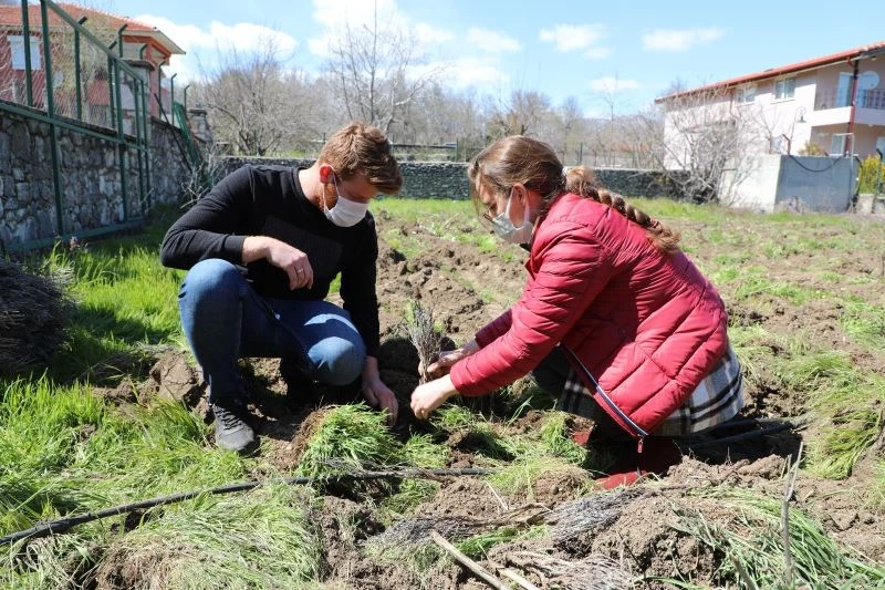 İbradı tıbbi aromatik bitkilerin merkezi olacak
