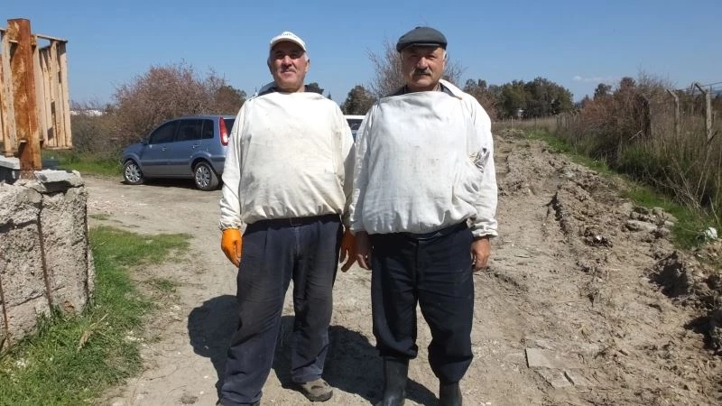Balıkesir’de bal para yapınca arıların önüne halı serdiler
