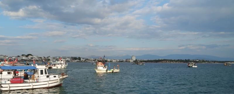 Didim’de deniz patlıcanı avcılığı sona erdi

