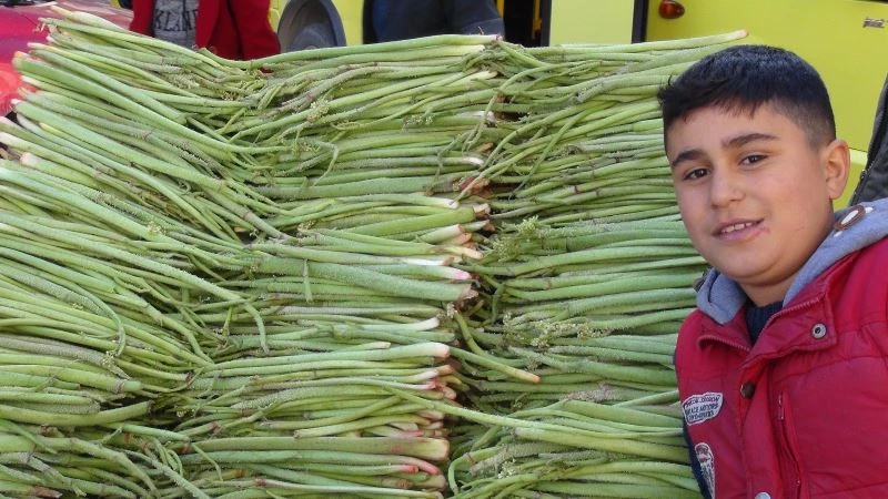 Van’da ‘Yayla Muzu’ tezgahlardaki yerini aldı
