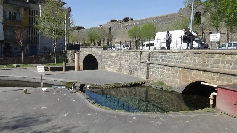 Diyarbakır Anzele Parkında çocuklar yüzmeyince balıklar gün yüzüne çıktı
