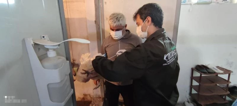 Kanatlı hayvan damızlık tesislerindeki hayvanlardan numune alındı
