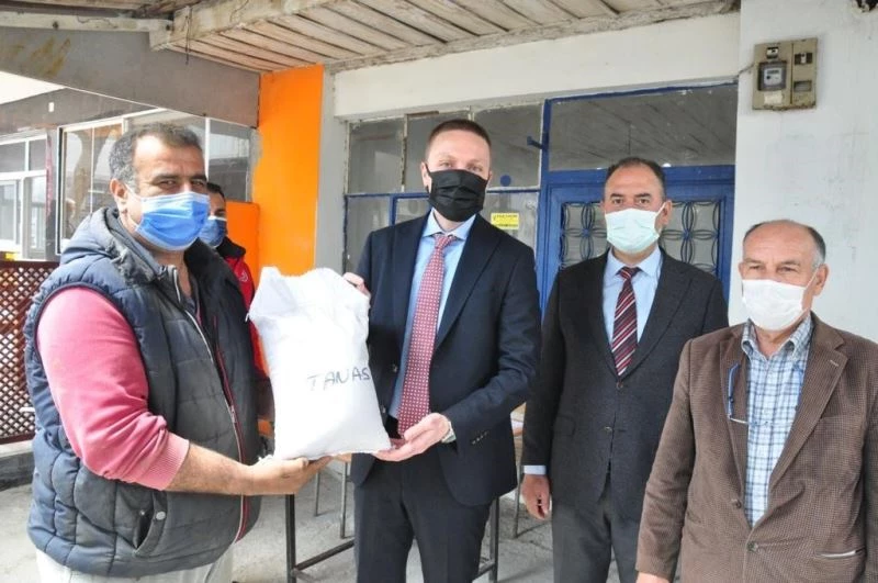 Milas’ta susam üretimi artıyor
