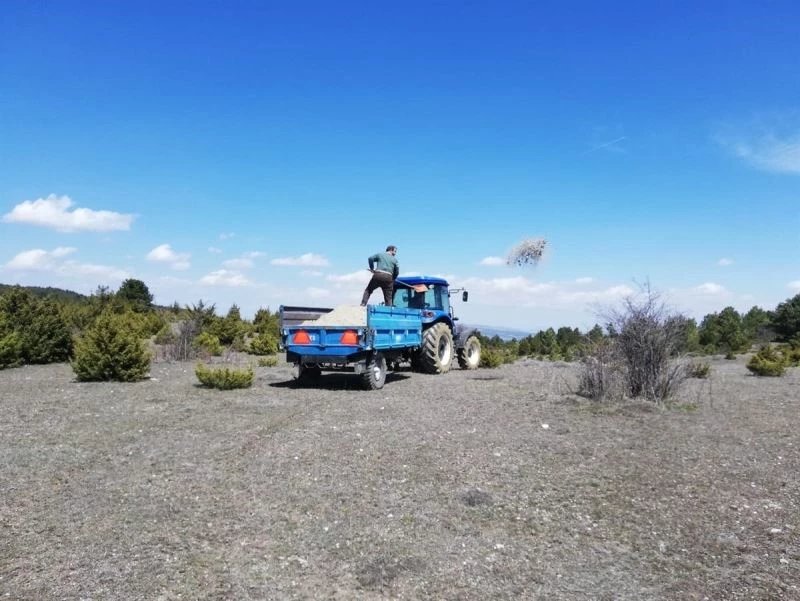 Dumlupınar’da meralar gübrelendi
