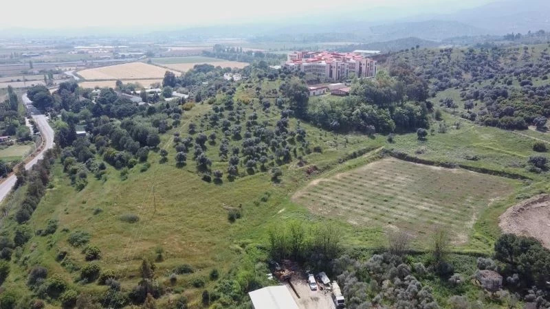 ADÜ Ziraat Fakültesi’nden ‘Aydın Çam Fıstığı’ coğrafi işaretlerine katkı
