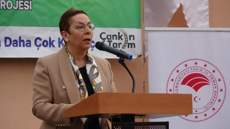 Bakan Yardımcısı Işıkgece: 