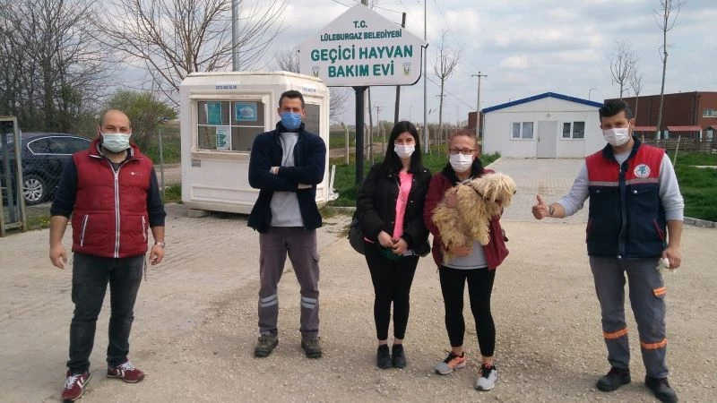 Terk edilmişti, şimdi yeni yuvasında
