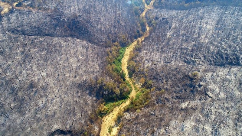 İHA foto muhabirlerine 5 ödül birden
